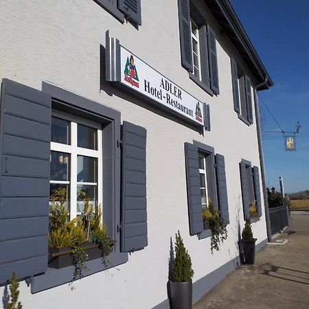 Hotel Landgasthof Adler Bad Krozingen Εξωτερικό φωτογραφία